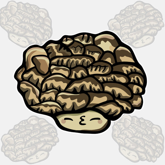 Pinecone